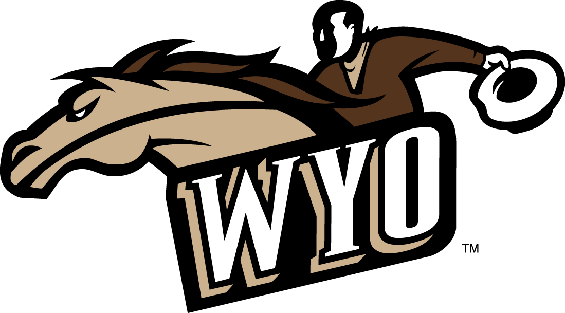 Wyoming Cowboys 1997-2006 Alternate Logo diy iron on heat transfer